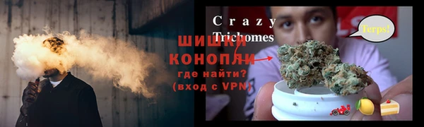 шишки Дмитровск