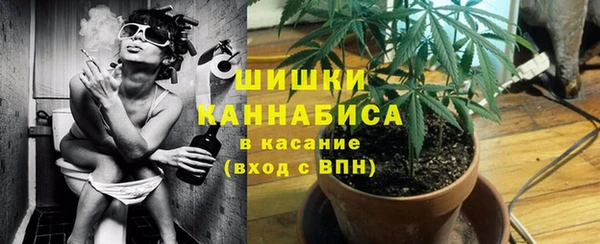 тгк Белокуриха