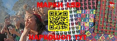 гидра Краснознаменск