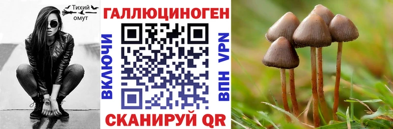Галлюциногенные грибы Psilocybe  где можно купить наркотик  Коммунар 