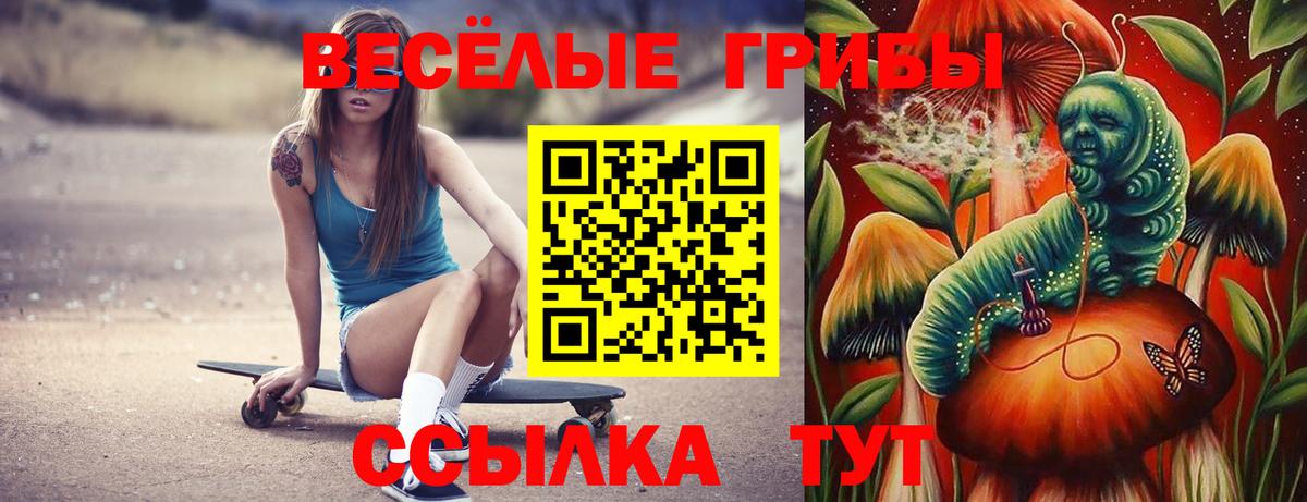 Галлюциногенные грибы ЛСД Коммунар
